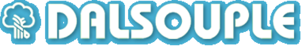 Dalsouple Rubber Flooring.png